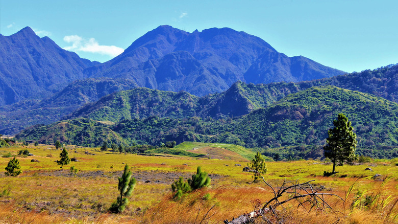 Volcán Barú National Park