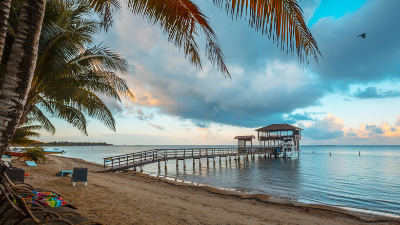 A pier at Sandy Bay Beach, Roatán.