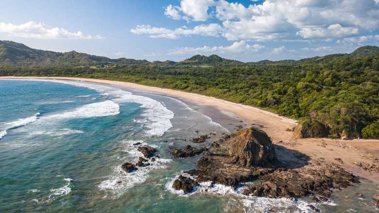 las Baulas National Marine Park in Tamarindo