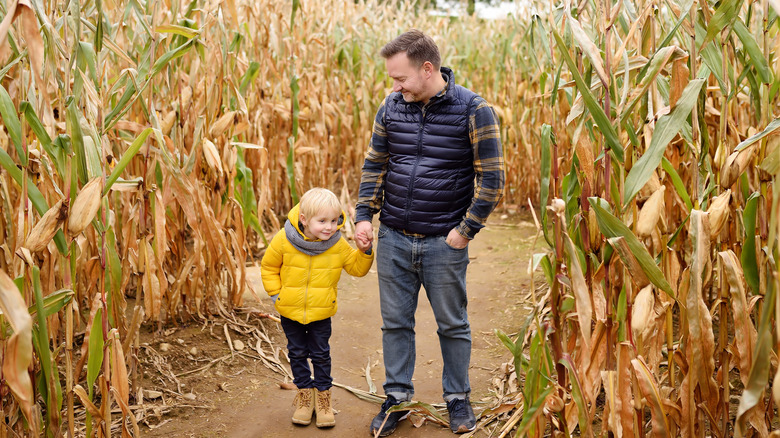 Dad and son in a corn maze