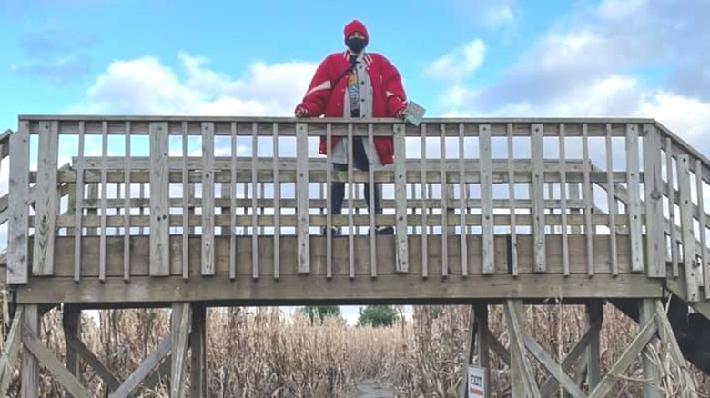 Man on corn maze bridge