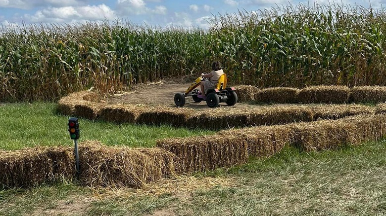 Gocarts through corn maze