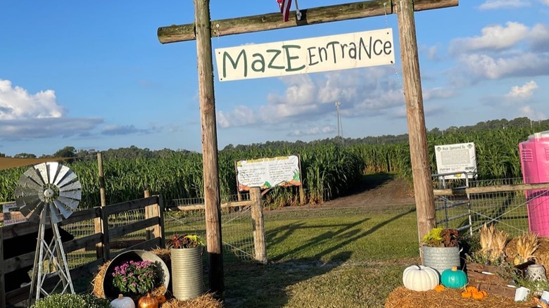 Sykes farm maze entrance