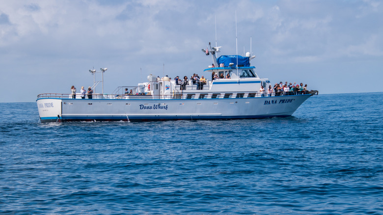 Tourists on a whale-watching boat in Dana Point, CA