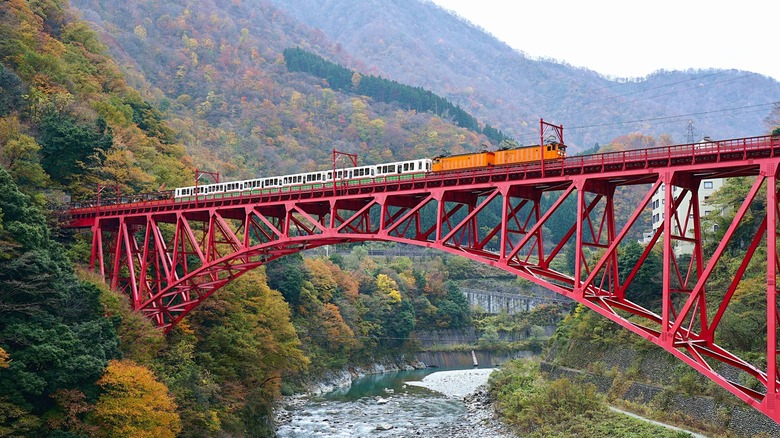 A train on a bridge