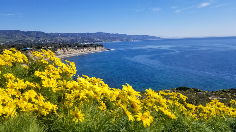 Point Dume Natural Preserve. Malibu