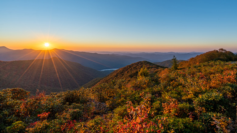 fall foliage in Asheville