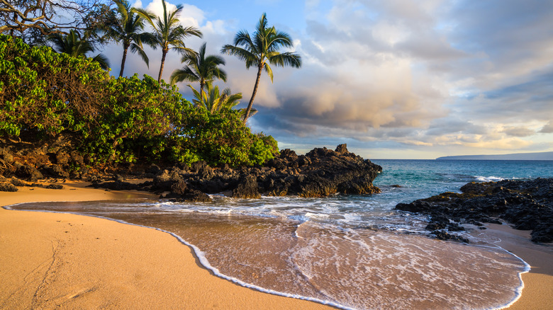 beach in Maui