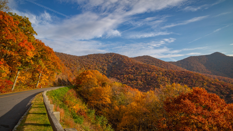 fall colors in Asheville