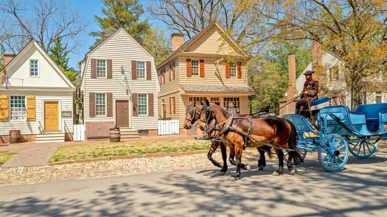 horse and carriage in Williamsburg