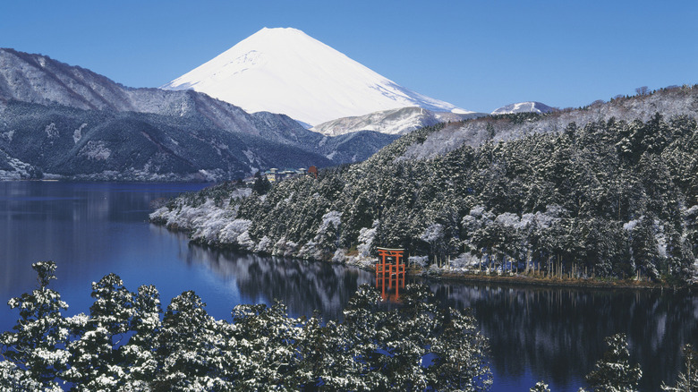 Lake Ashinoko and Mt Fuji