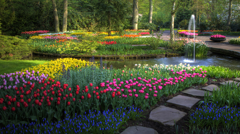 Keukenhof Gardens in spring near Amsterdam, the Netherlands