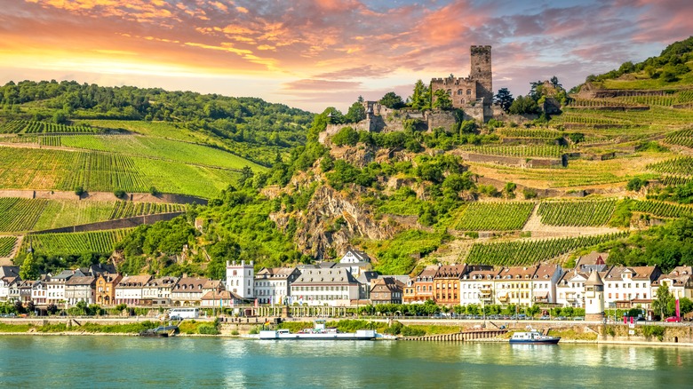 View of Sankt Goar from River