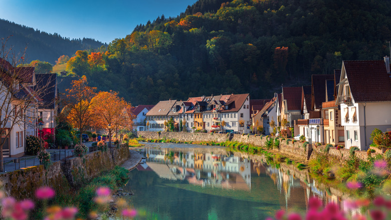 River running through Baden-Württemberg in autumn