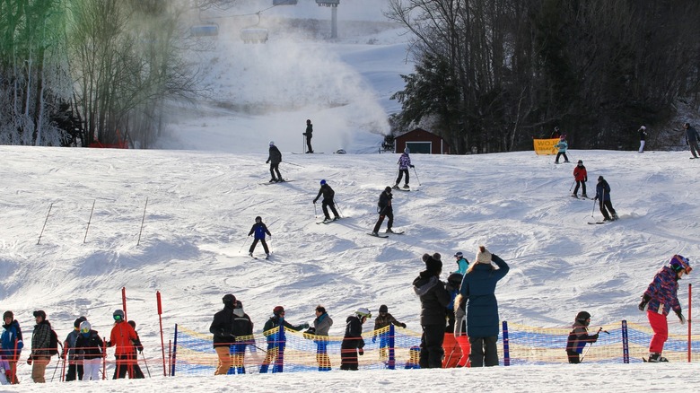 Moguls and magic carpets at Mount Snow resort in Vermont