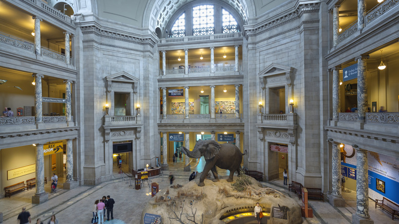 Smithsonian Museum of Natural History