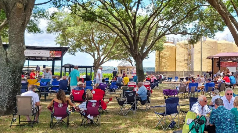 Lakeridge Winery visitors gather for live music