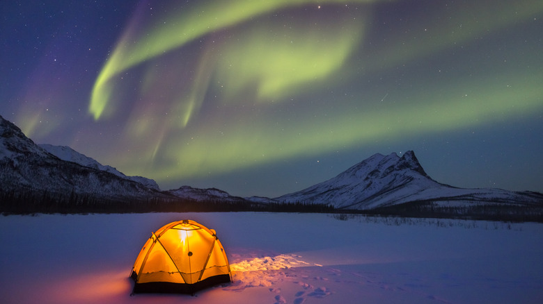 Yellow tent beneath northern lights