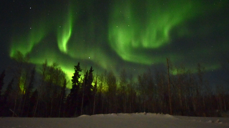 Northern Lights in Fairbanks, Alaska