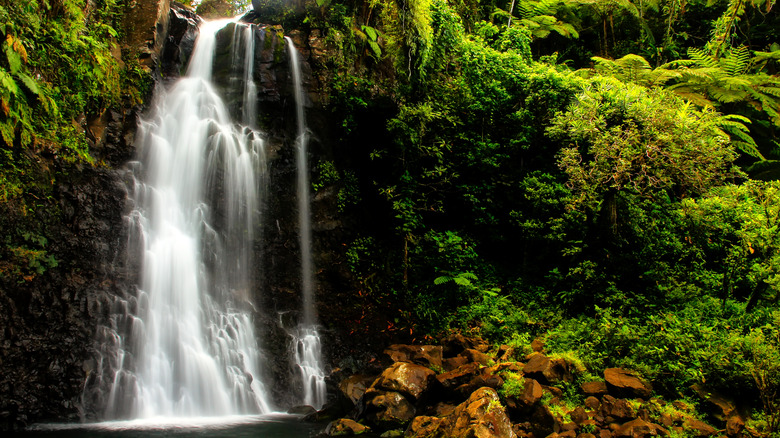 Bouma Falls in Taveuni's National Heritage Park, Fiji