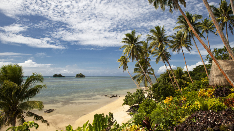 View of the Taveuni shore from the Lavena Coastal Walk, Fiji