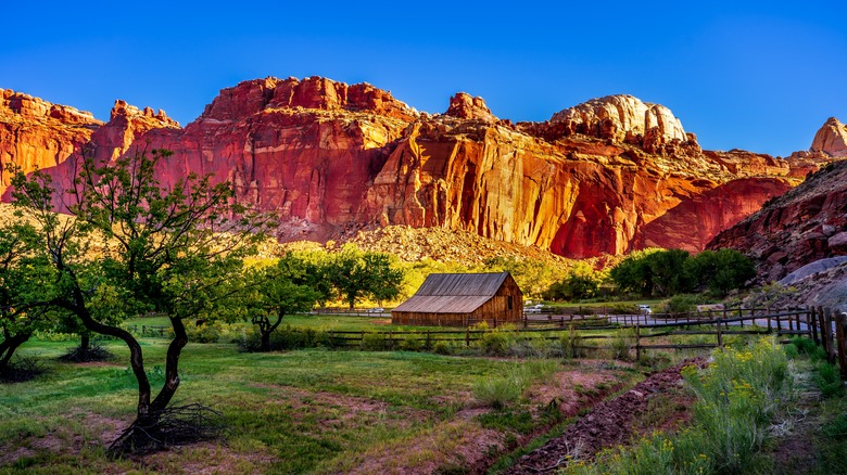 Capitol Reef National Park barn