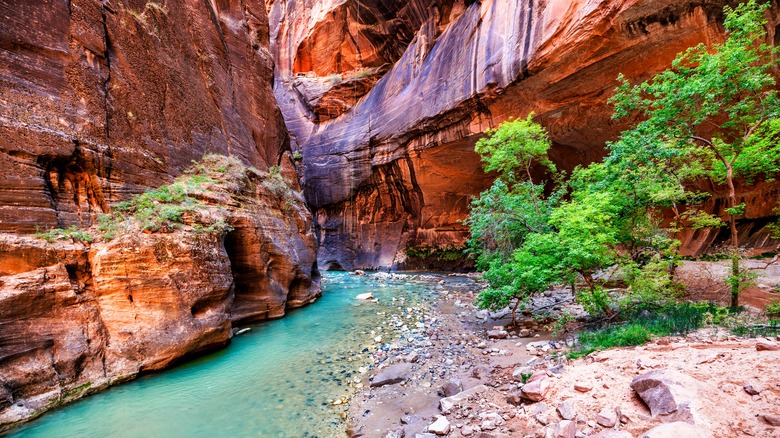 The Zion Narrows hike