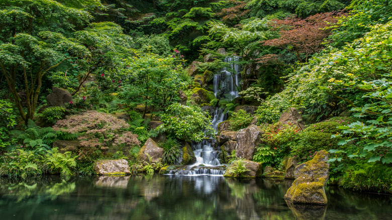 Waterfall at Portland Japanese Garden