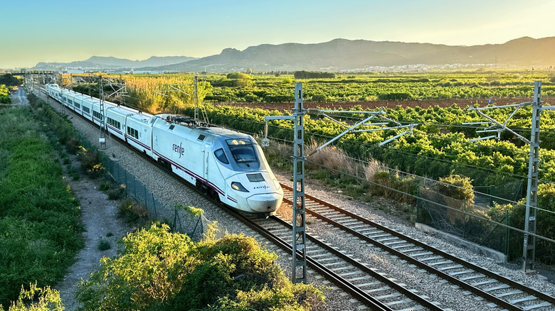 RENFE train across lush landscape.