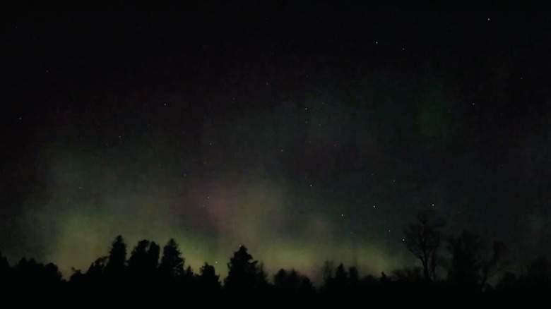 Headlands dark park Northern Lights