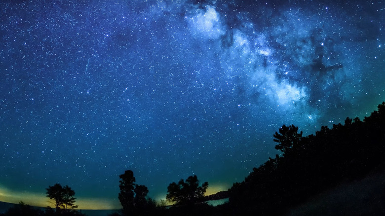 Newport State Park night sky