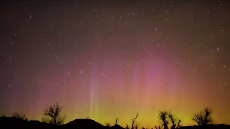 Theodore Roosevelt park Northern Lights