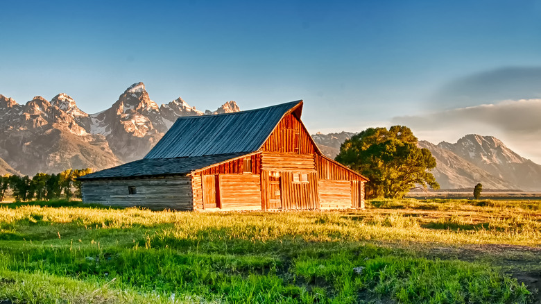 T.A. Moulton Barn and mountains