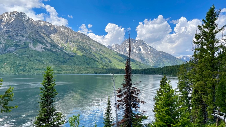 Jenny Lake and Grand Teton mountains