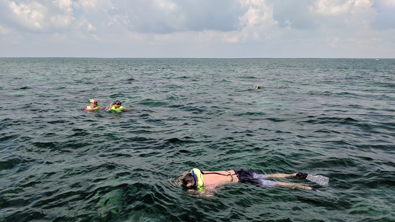 Kids snorkeling at Biscayne national park