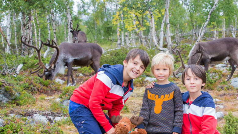 Kids seeing reindeer at Denali National Park