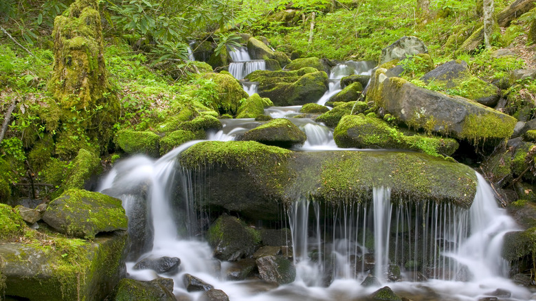 Scenic waterfall at GSMNP