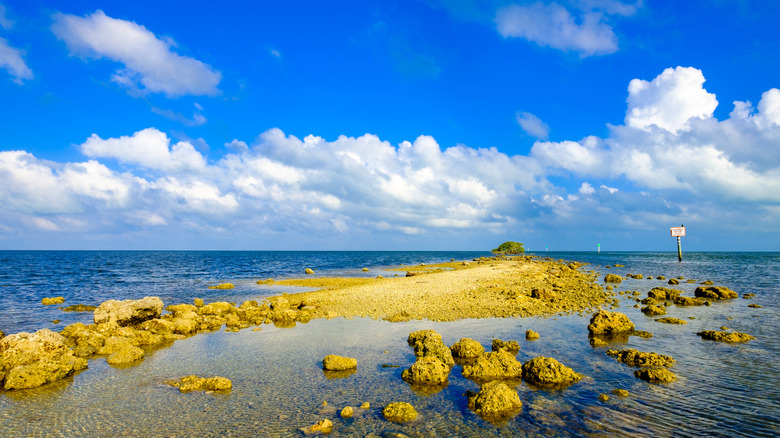 Black Creek Trail in Biscayne National Park