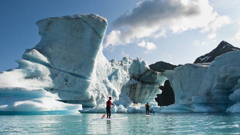 Paddle boarders in an Alaskan national park