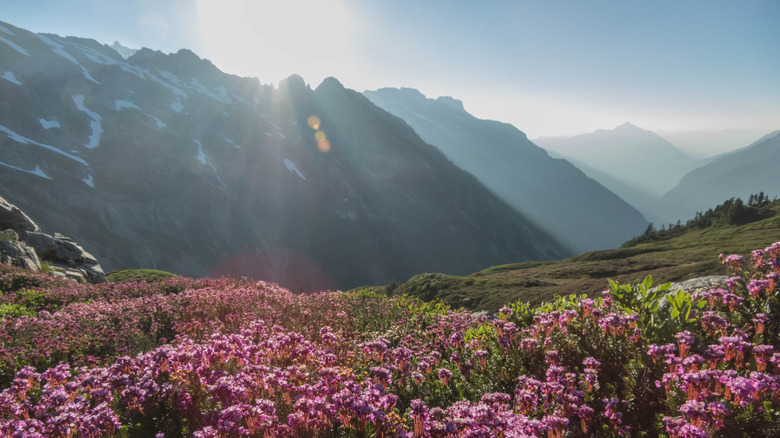 A beautiful view of Stehekin Valley