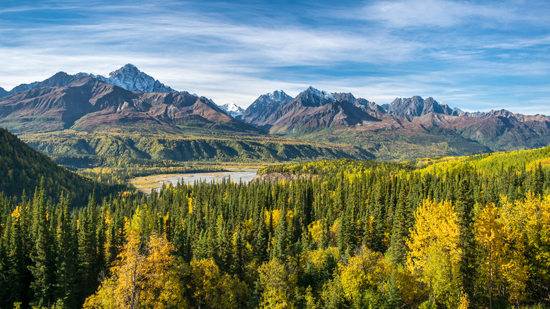 Wrangell-St. Elias National Park