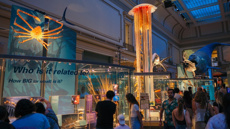 Museum of Natural History at night