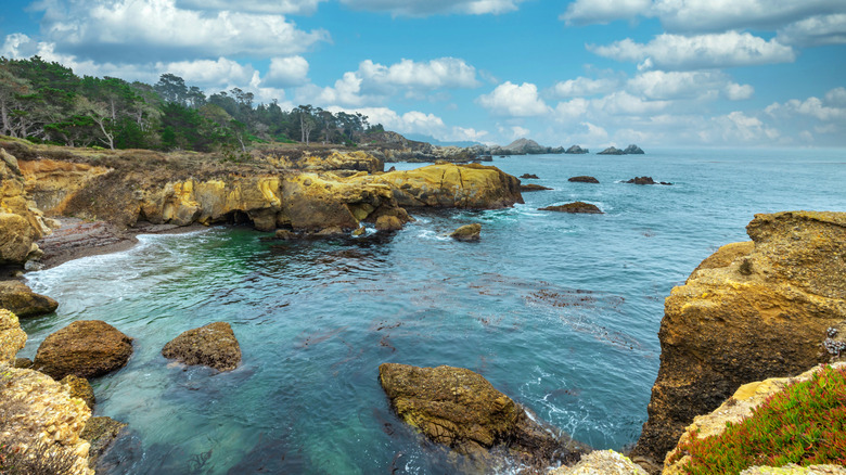 Point Lobos reserve coastline