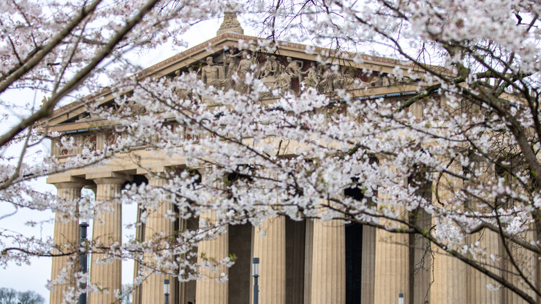 Cherry blossoms with the Parthenon in Nashville