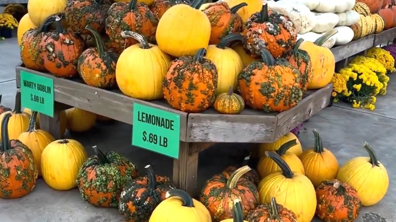 Pumpkin stand