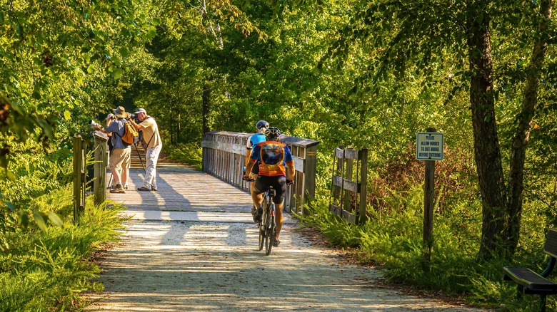 People biking and bird watching on American Tobacco Trail