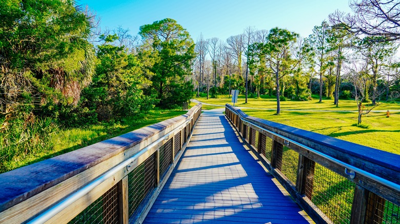 Pinellas Trail at Tarpon Springs