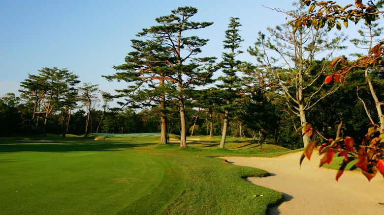 Trees and bunkers at Hirono Golf Club, Japan