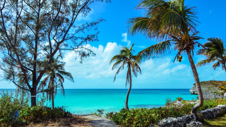 Tropical beach on the island of Eleuthera, Bahamas