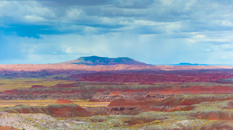 Wide shot of the Painted Desert